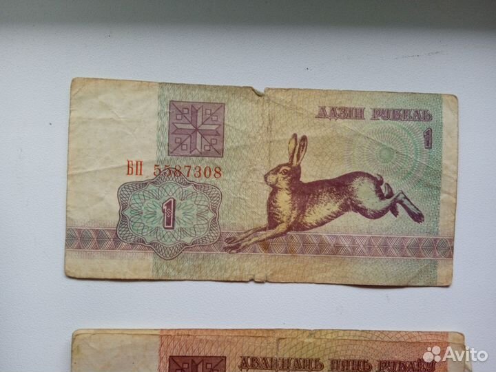 Купюры белоруссии 1992