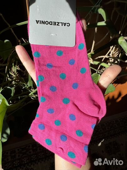 Calzedonia носки