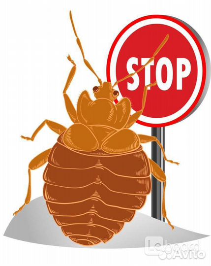 Уничтожение насекомых