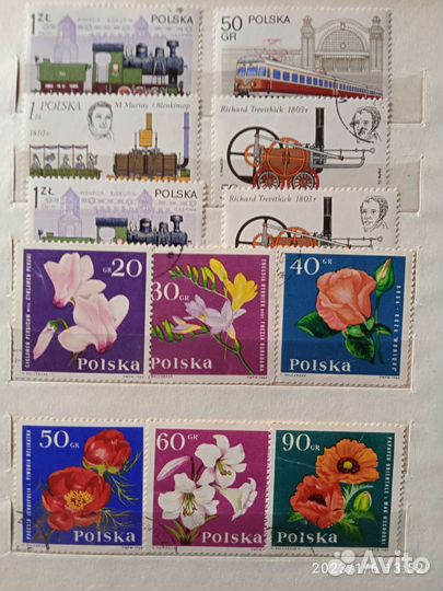 Почтовые марки и блоки Польши