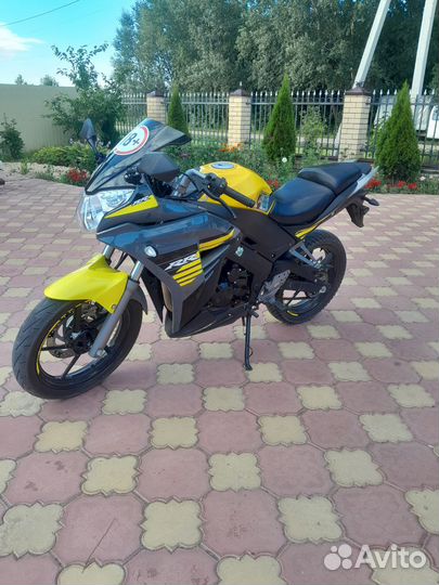 Рейсер скайвей 300