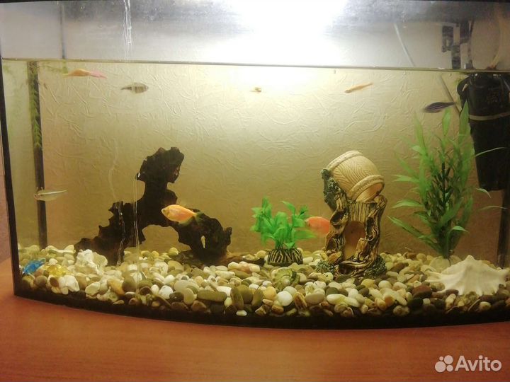 Аквариум
