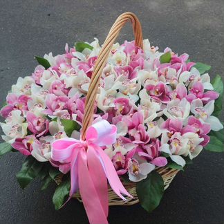Живые цветы букеты орхидеи, букет цветов орхидей