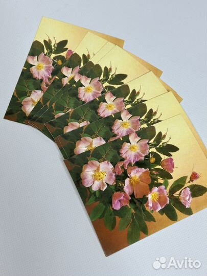 Почтовая Поздравительная открытка СССР винтаж