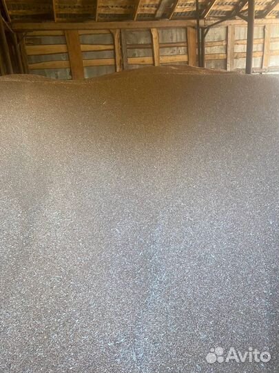 Пшеница,ячмень