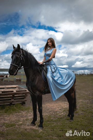 Фотограф с лошадьми и другими животными