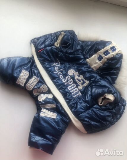 Комбинезон для маленькой собаки зима теплый синий