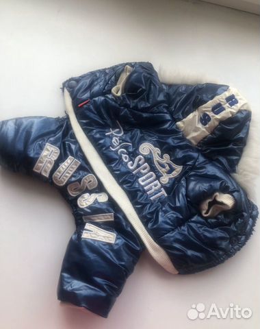 Комбинезон для маленькой собаки зима теплый синий