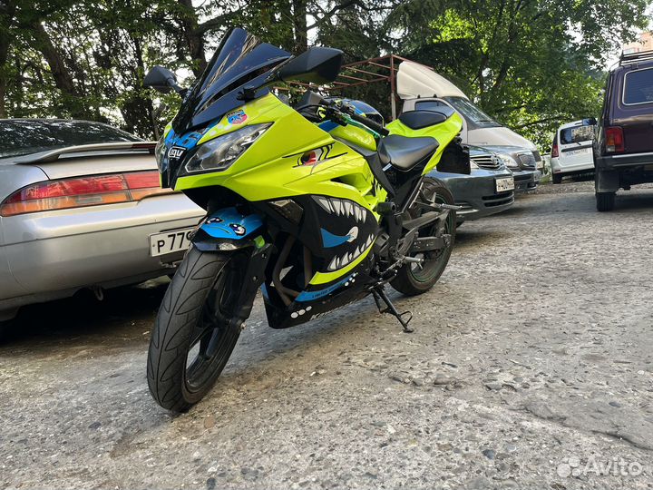 Kawasaki Ninja 300ABS