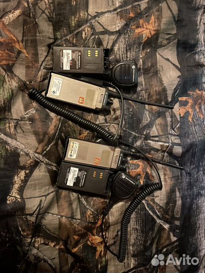 Рация Motorola gp340