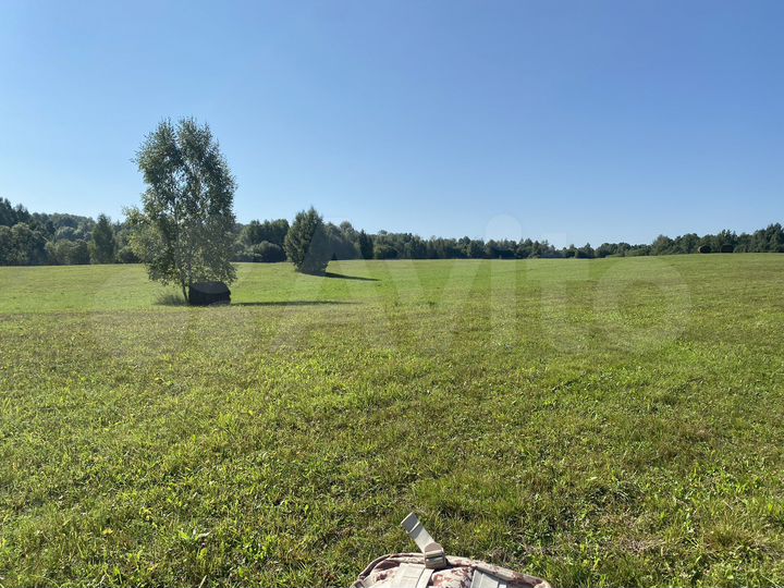 Участок 6 га (СНТ, ДНП)