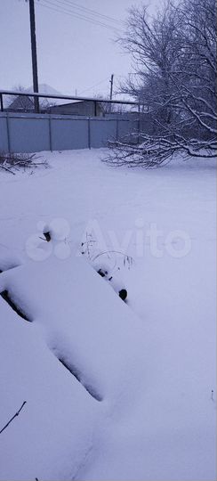 Участок 3 сот. (ИЖС)