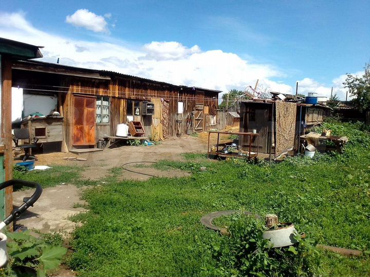 Дом 46 м² на участке 10,1 сот.