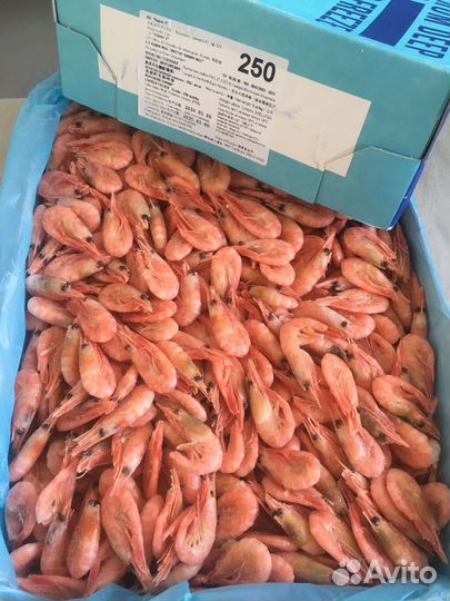 Креветка мурманская 250+