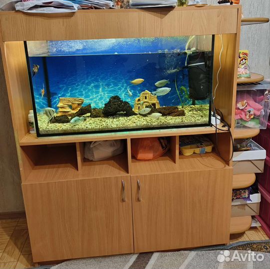 Аквариум