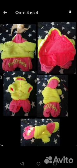 Одежда для собачки