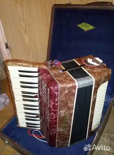 Аккордеон 