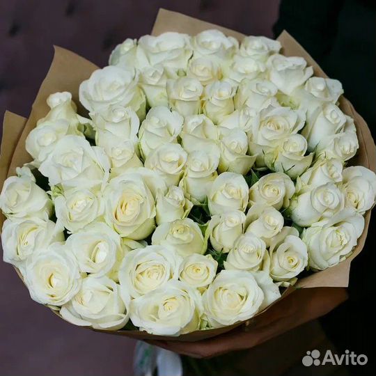 Букет из 51 Белой Розы с Доставкой