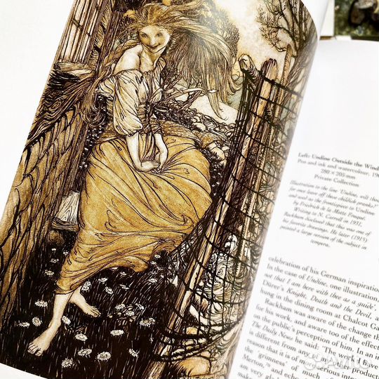 Arthur Rackham: A Life with Illustration книга