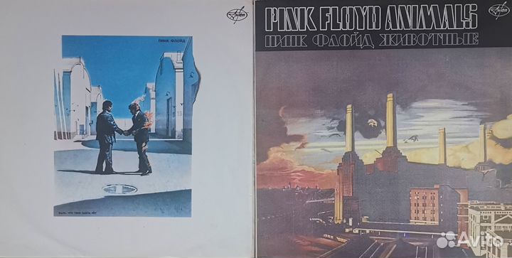 Виниловые пластинки