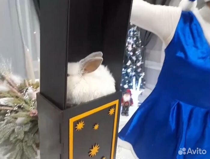 Фокус 