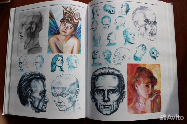 Атлас анатомии человека для художников