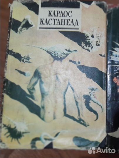 Кастанеда Декамерон одним Пакетом