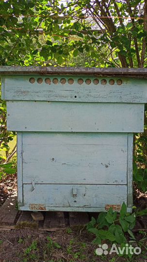 Улей для пчел