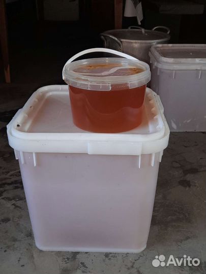 Мед подсолнечный 2023 год