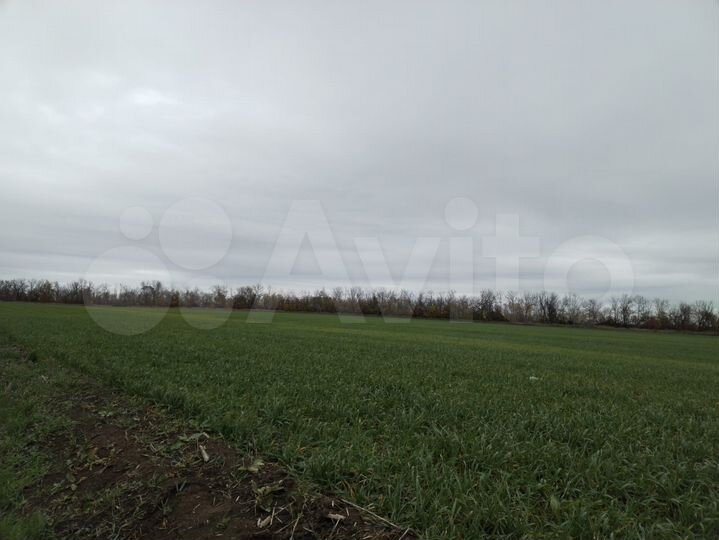 Участок 13 га (СНТ, ДНП)