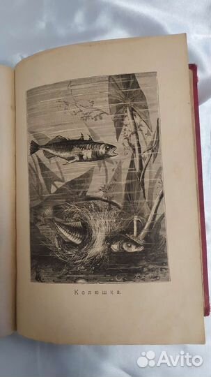 Старинные антикварные книги