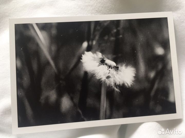 Фотооткрытка посткроссинг