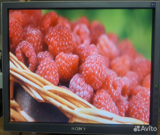 Монитор Sony