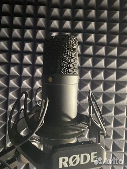 Rode nt1