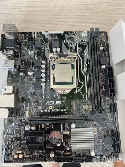 Asus prime b250m-k + pentium g4560