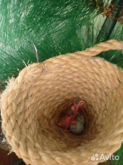 Домашние снегири