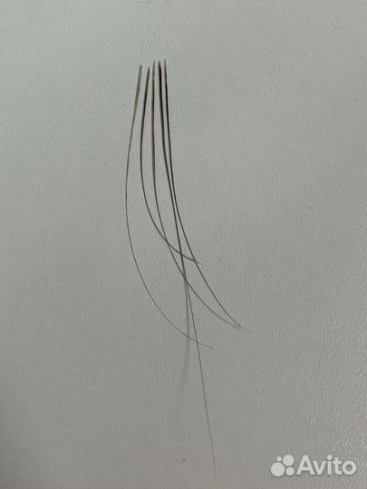 Кошачьи усы