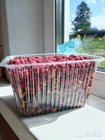 Сушеная ягода 2023