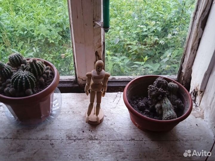 Деревянная Кукла