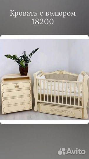 Королевские коллекции в ассортименте массив