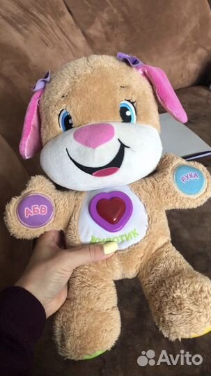 Собака учёный щенок Fisher Price