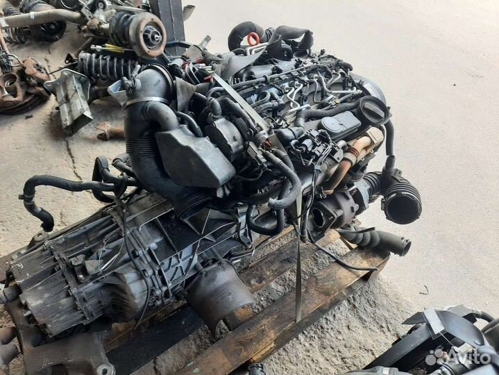 Двигатель Audi A6 C6 (S6,RS6) 2008 CAH 2.0 дизель