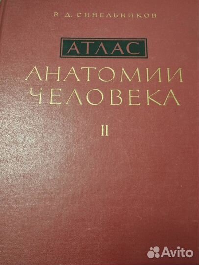 Атлас анатомии человека