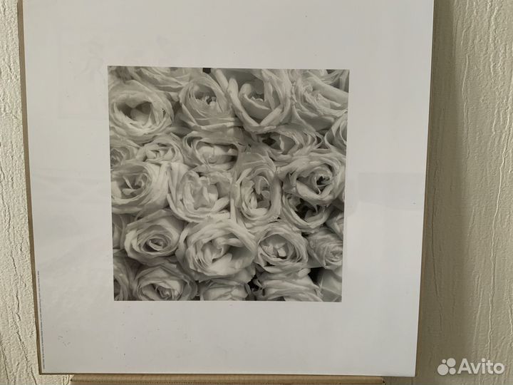 Постеры IKEA новые