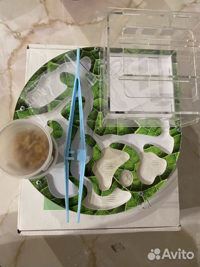 Муравьиная ферма