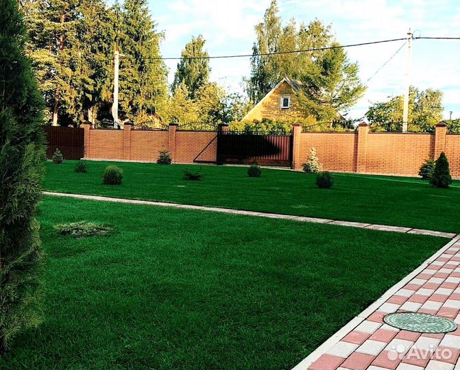 Рулонный газон