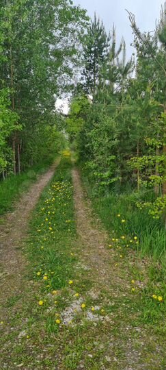 Дом 130 м² на участке 6 сот.