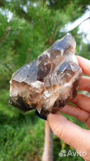 Раухтопаз Дымчатый Кварц Друза Кристалл