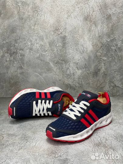 Adidas Climacool Blue Red