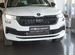 Новый Skoda Kodiaq 2.0 AMT, 2024, цена 5249900 руб.